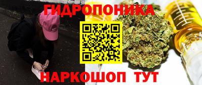 шишки Нальчик