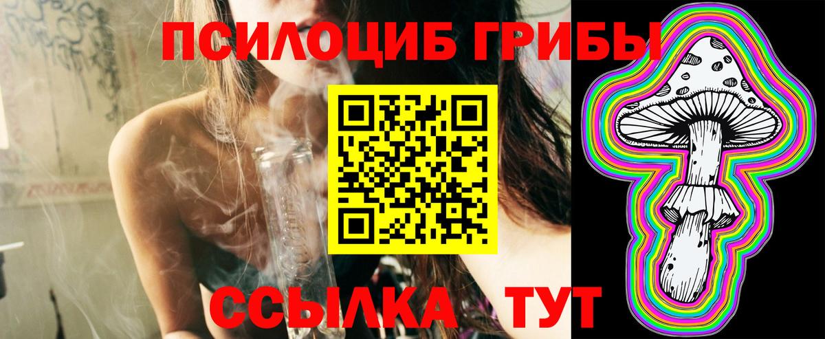 Псилоцибиновые грибы прущие грибы  Вход с VPN  Торжок 